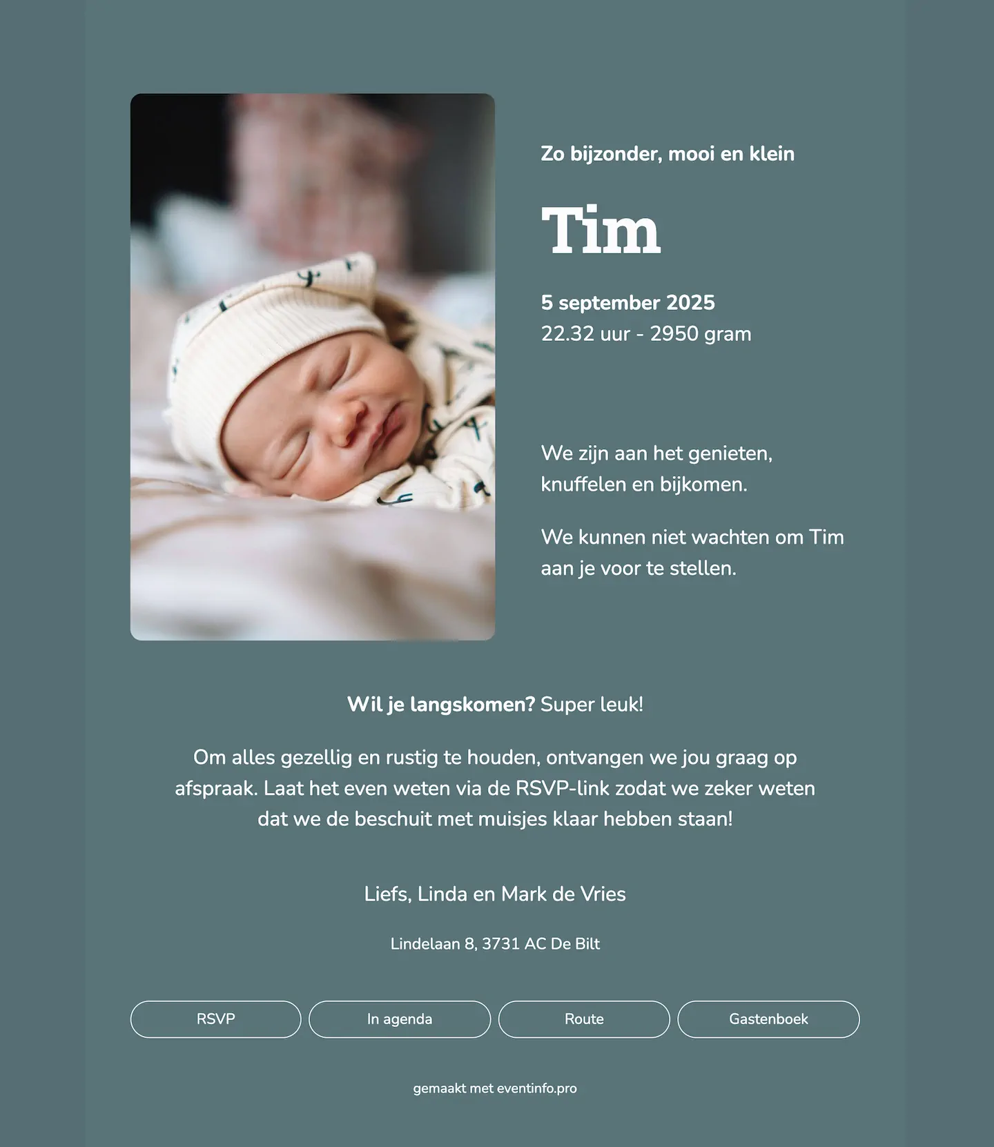 Stoer digitaal geboortekaartje
