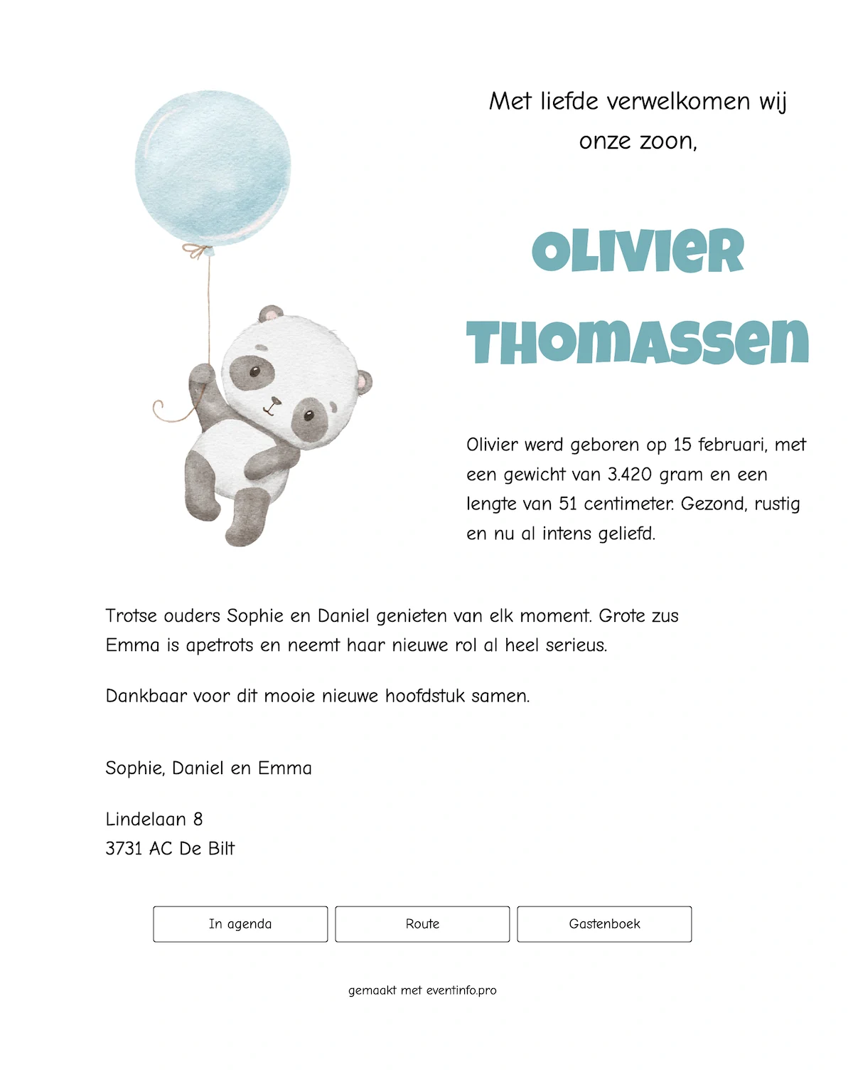 Deel een speels panda-geboortekaartje met ballon